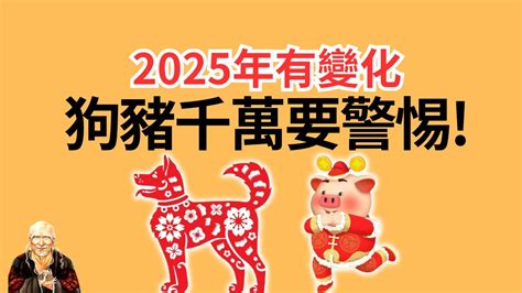 屬狗 皮夾顏色|2025年 屬狗適合什麼顏色皮夾？